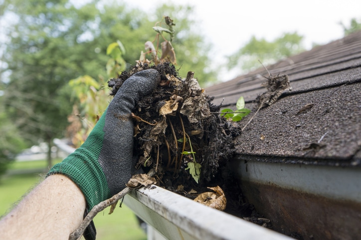 Reliable gutter cleaning services near me in South Puget Sound by Laddermen Home Services.