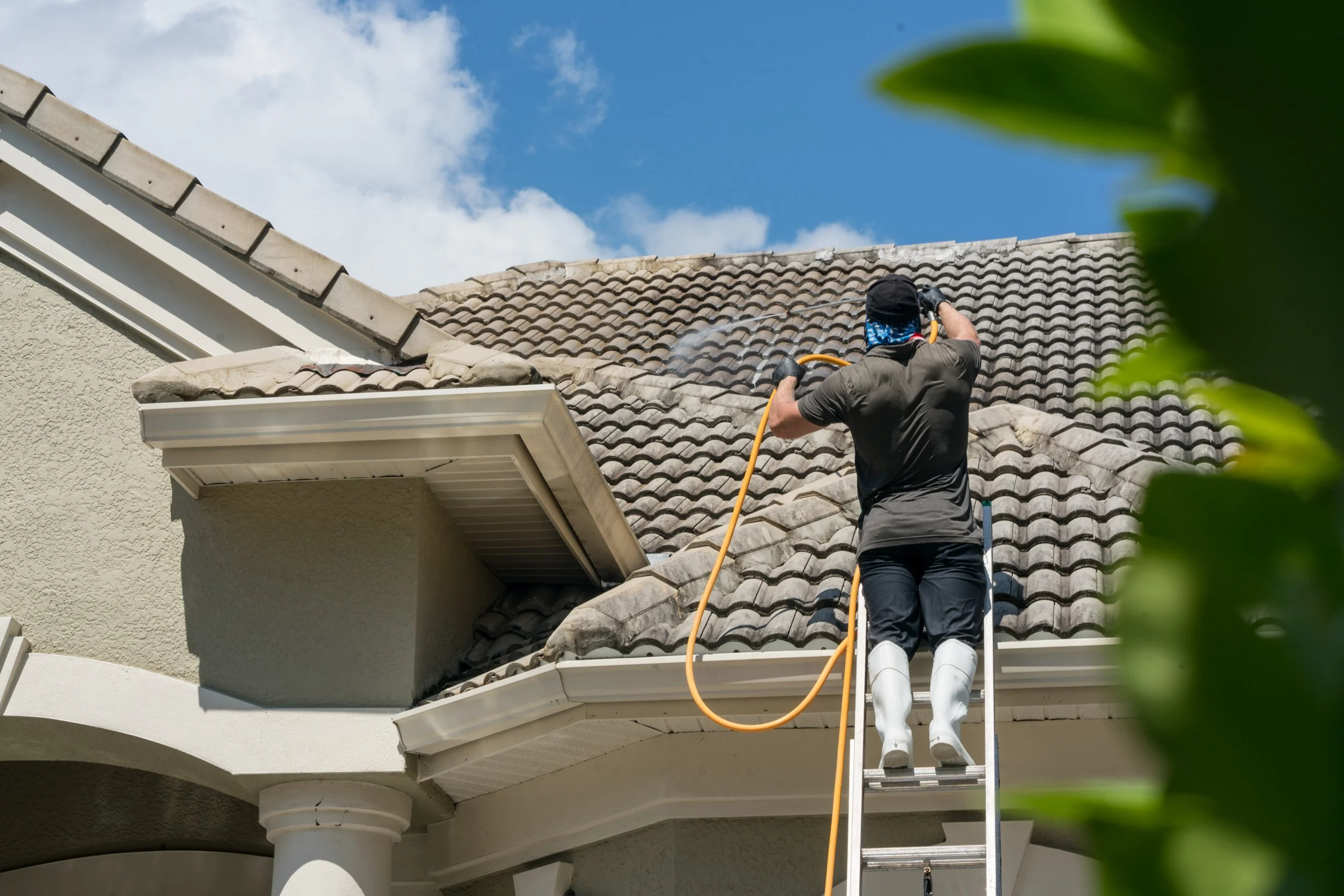 Reliable roof cleaning services near me in South Puget Sound by Laddermen Home Services.