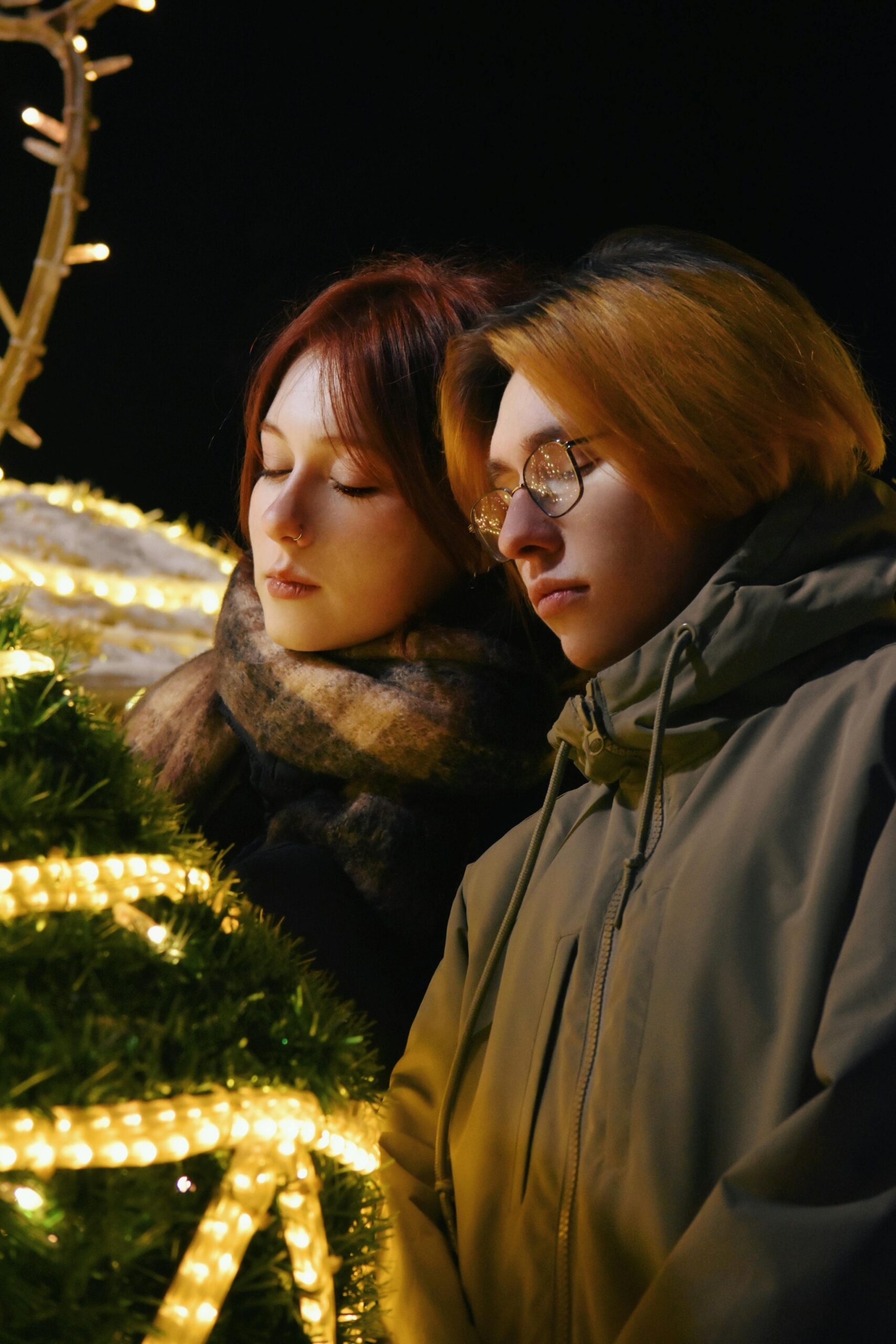Hassle-Free Holiday Lights Co.