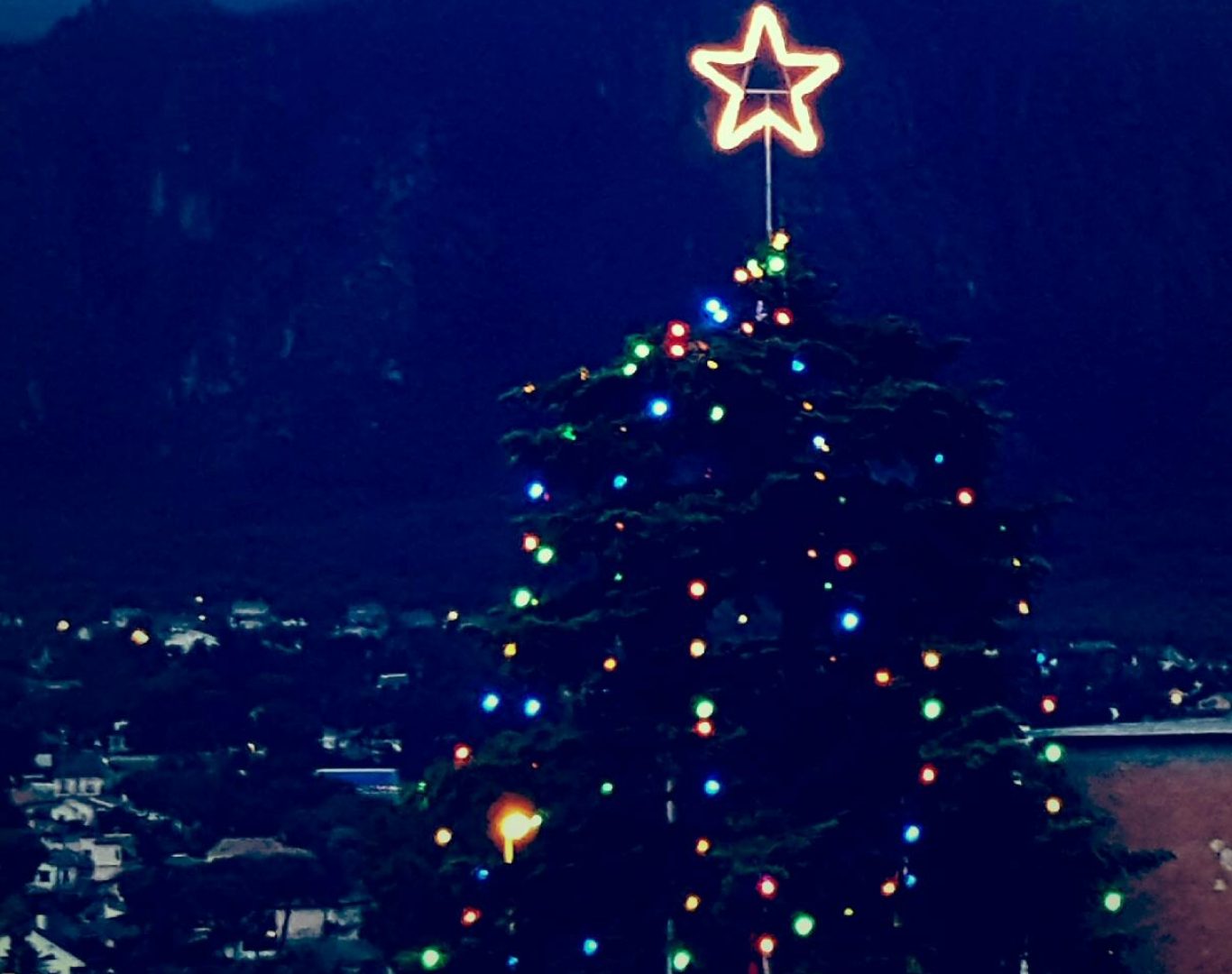 Benefits of Our Tree and Landscape Lighting in New England