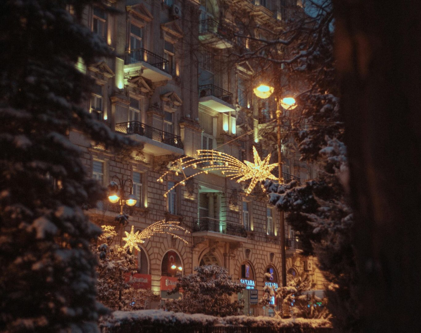 Why New England Homeowners Choose Tree and Landscape Lighting